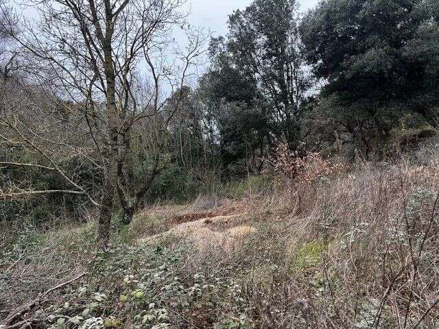 Terrain à LE BOSC