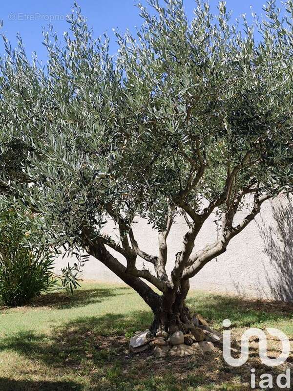 Photo 2 - Maison à AUJARGUES