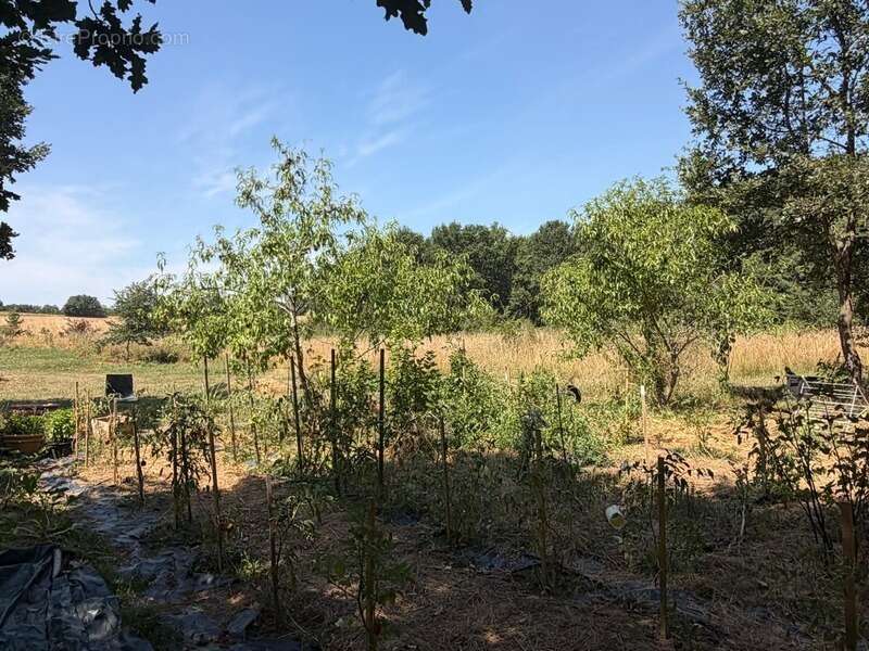MARCIAC(32): ancienne SEIGNEURIE avec BEAU CHATEAU XIV sur 3,5ha, cachée, au bout du chemin, sans voisin, en campagne, 500m2 hab - photo 7