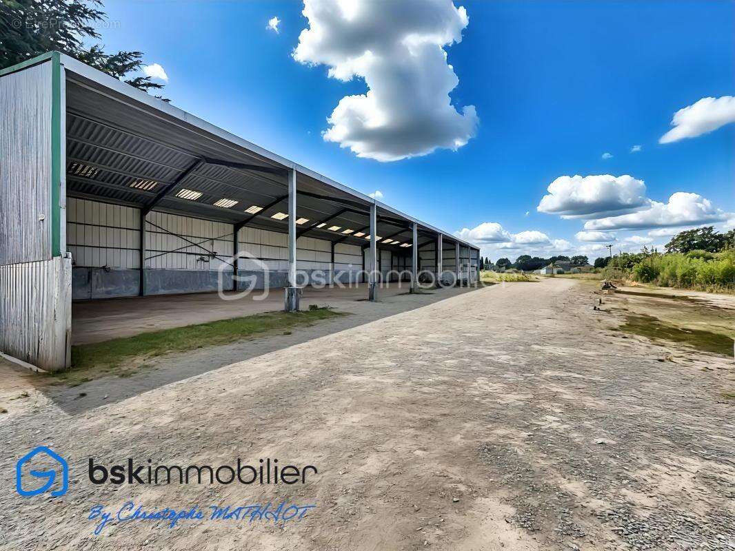Bâtiment industriel de 1 700 m² sur terrain de 6 230 m² – Nombreuses possibilités d’exploitation ! - photo 8