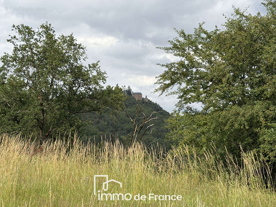 Vallée du Lot- Beau terrain à bâtir- EXCLUSIVITE - photo 3