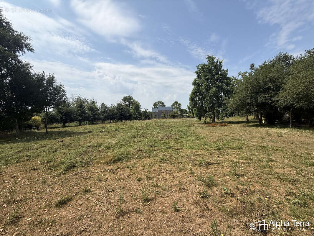 Terrain 5275 m² à Tilly-Sur-Seulles  - photo 4