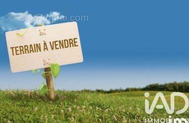 Photo 1 - Terrain à LARCHANT