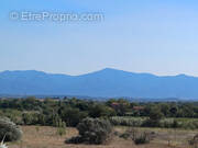 Terrain à PERPIGNAN