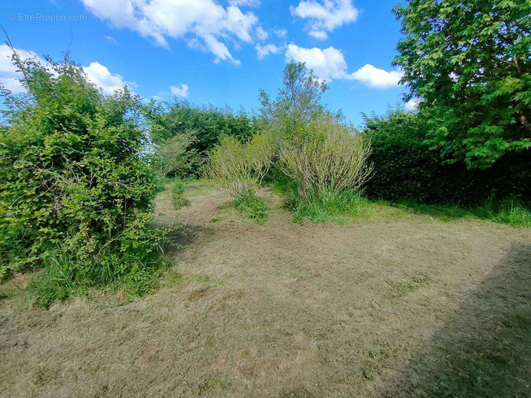 Maison à SAINT-MARTIN-DES-TILLEULS