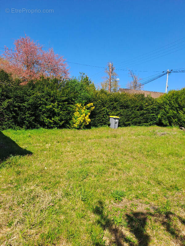 Terrain à BOURRON-MARLOTTE