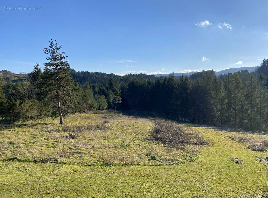 Maison à SAINT-DIDIER-EN-VELAY