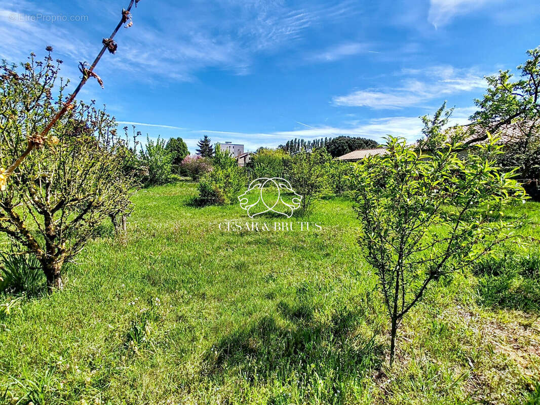 Terrain 535 m² à Saint-Georges-De-Reneins  - photo 5