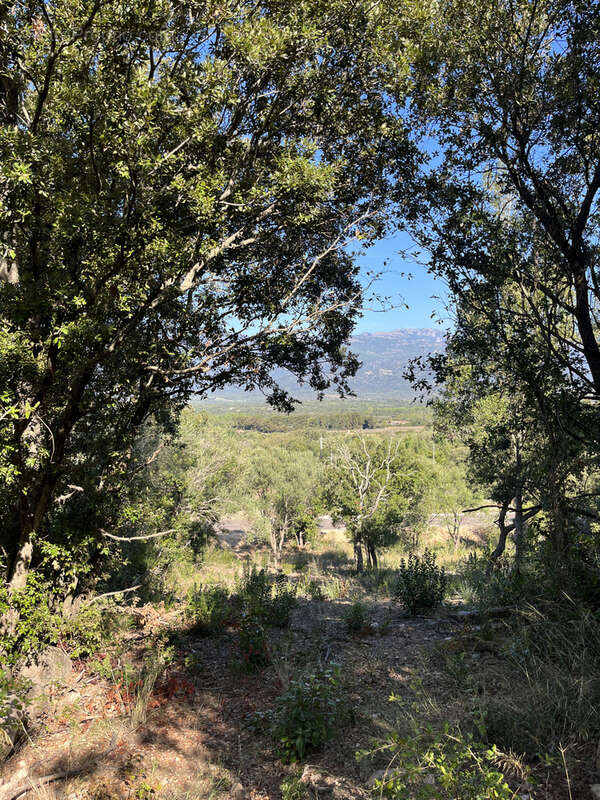 Terrain à FIGARI