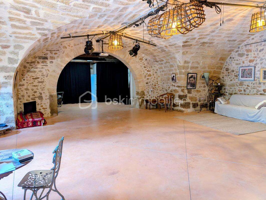 Propriété de prestige de 406 m² avec voûtes d'exception, cour et terrasses - photo 12