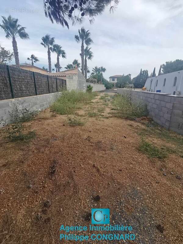 Photo 3 - Terrain à MARSEILLAN