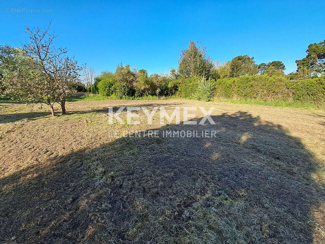 Terrain à LA TURBALLE