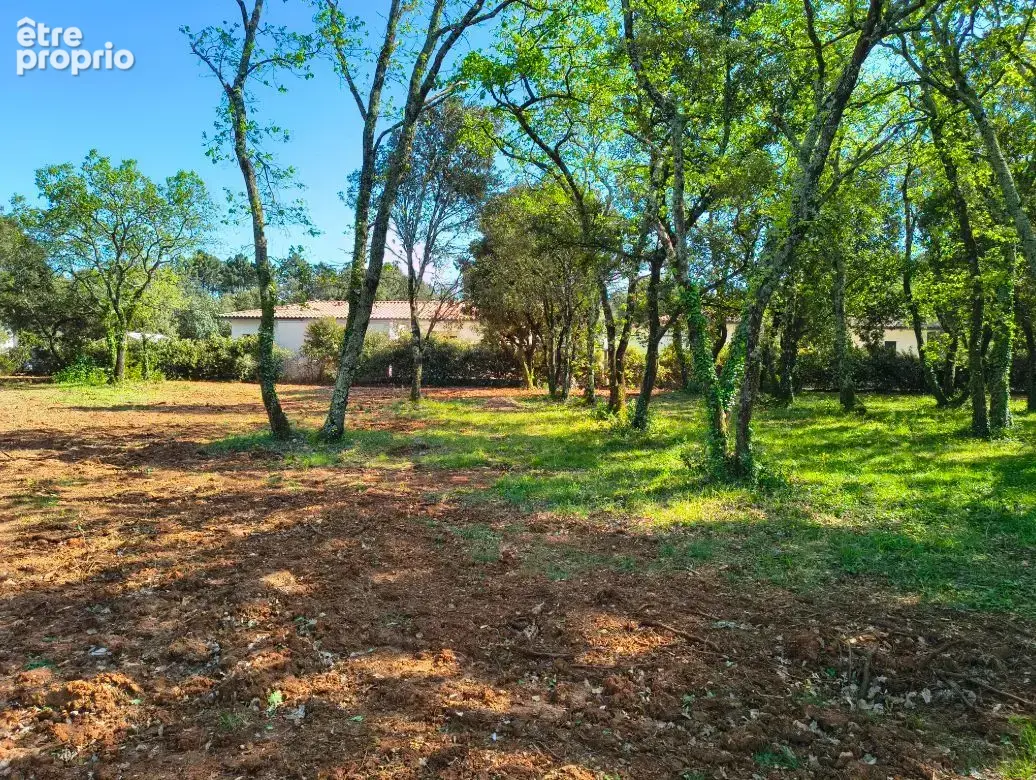 Terrain à bâtir de 935 m² à SAINT-SIFFRET (30) - photo 2