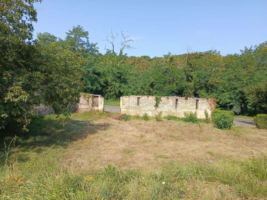 Terrain constructible de 1195 m² - photo 3