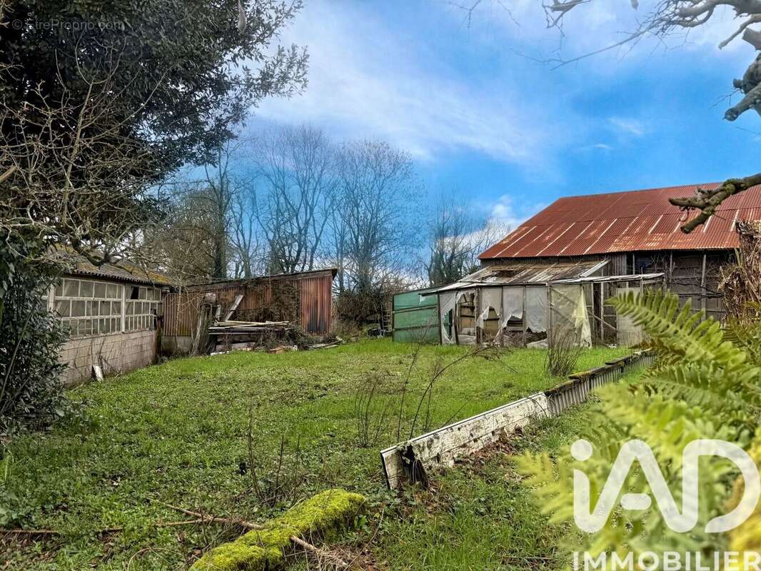 Photo 8 - Maison à SAINT-ETIENNE-DE-MER-MORTE