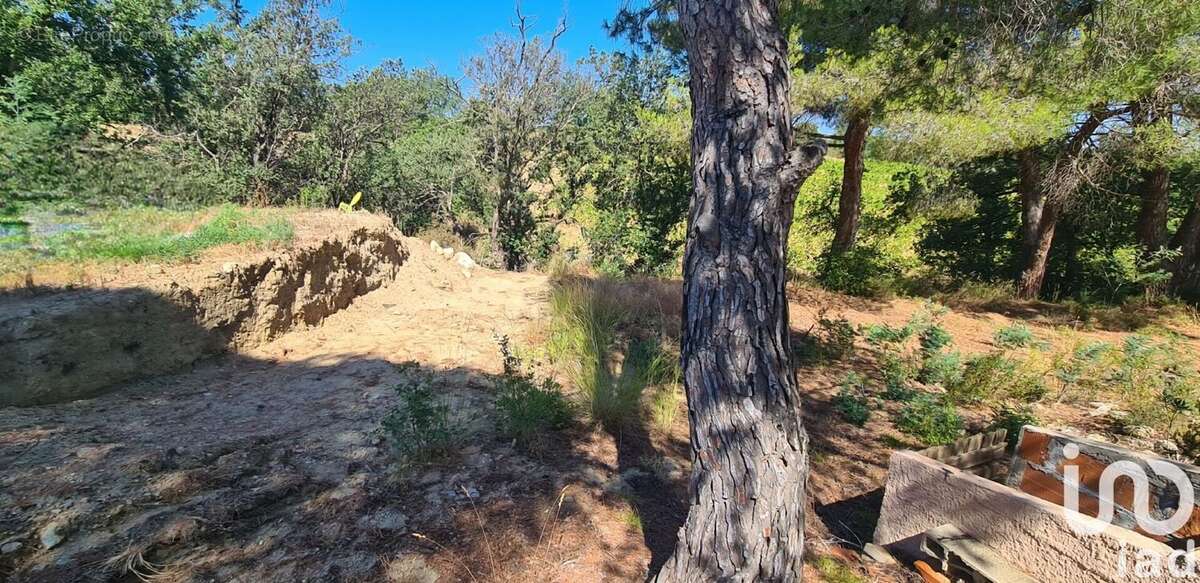 Photo 4 - Terrain à MONTESQUIEU-DES-ALBERES