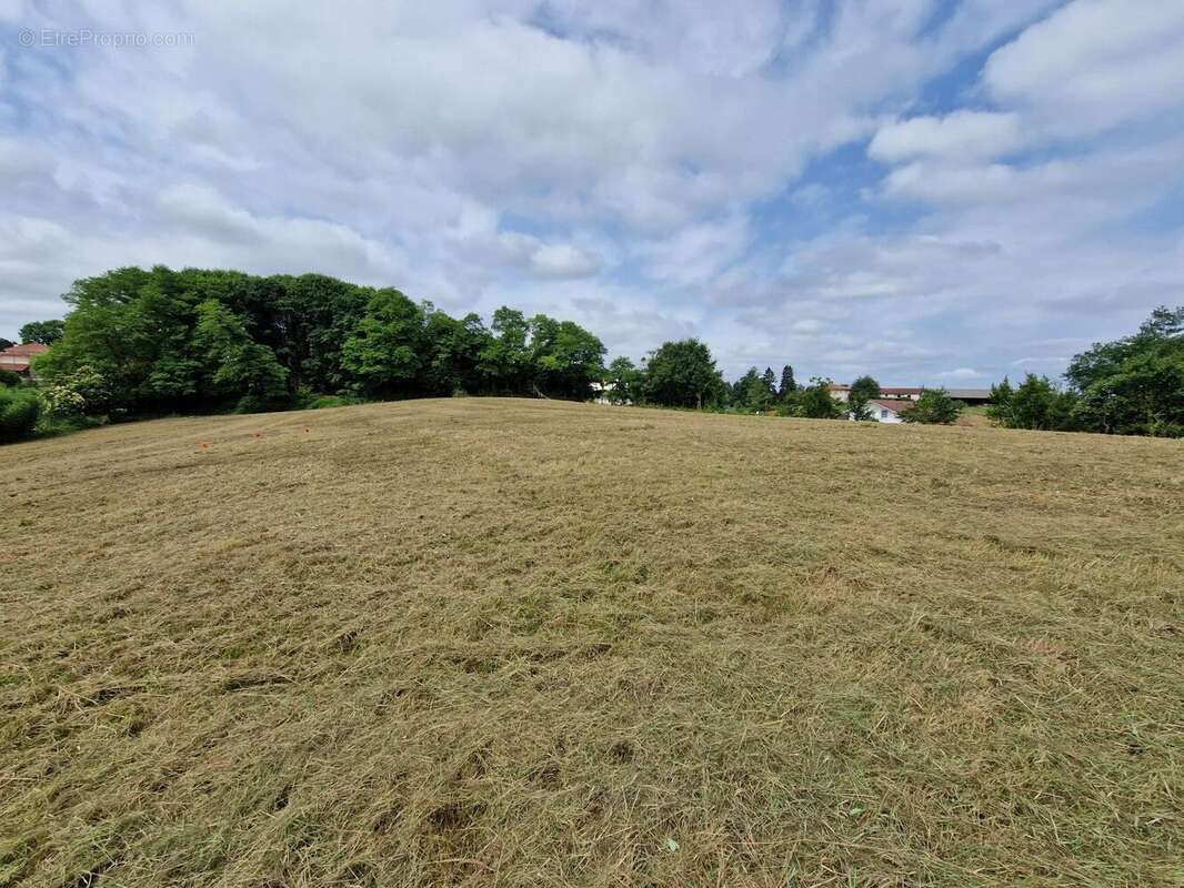 Terrain à HABAS