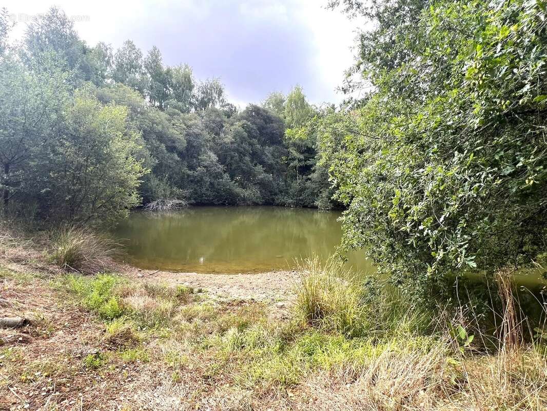 Maison à CHAMPNIERS-ET-REILHAC