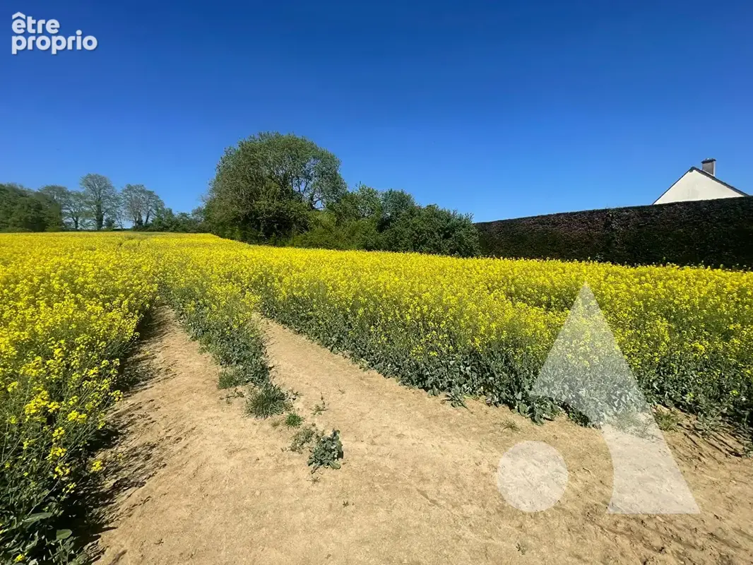 Terrain constructible 580 m² - photo 2