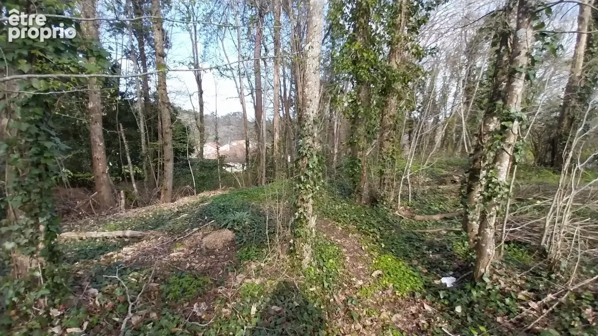 Terrain constructible Boisé 2500 m2 à CHANCELADE - photo 6