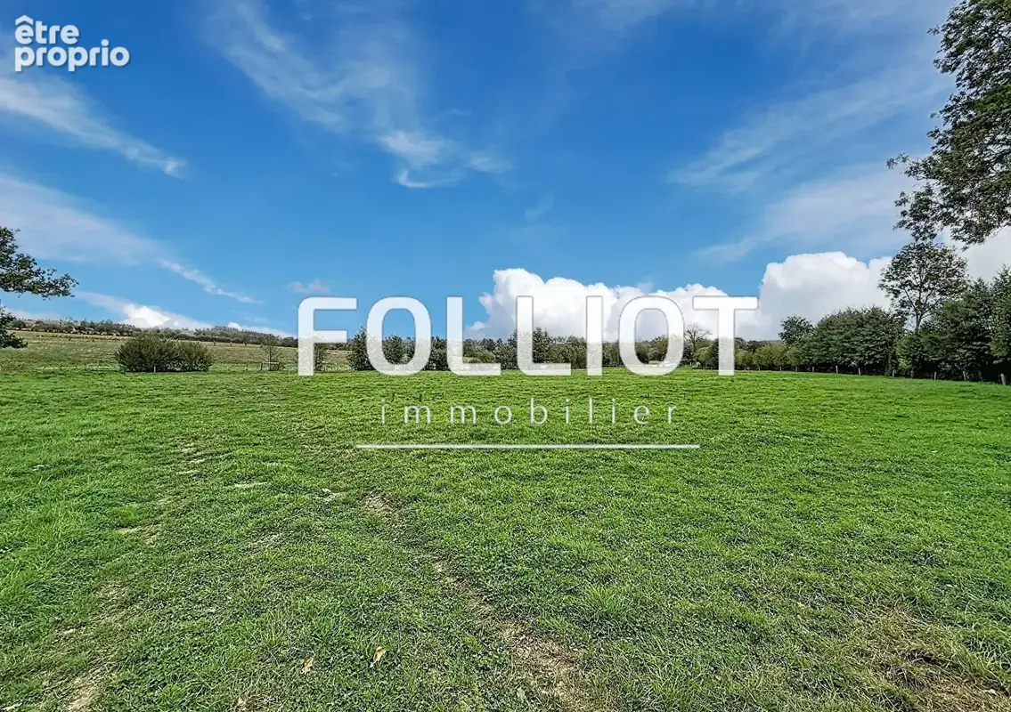 A VENDRE Maison avec terrain 50 000m²  -  Torigny Les Villes - photo 17