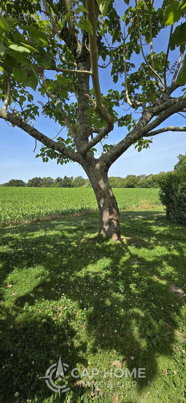 Appartement à QUIMPERLE