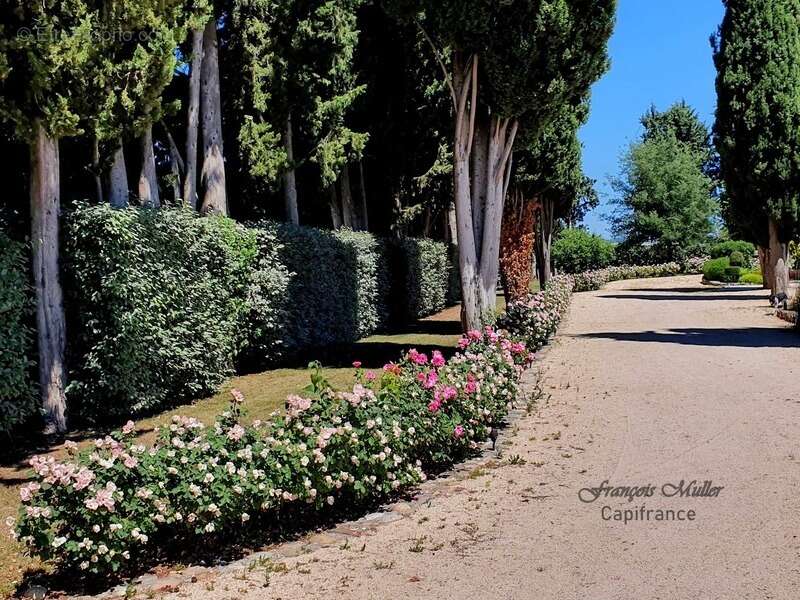 Propriété de caractère avec piscine et gîtes – Art de vivre en Provence - photo 18