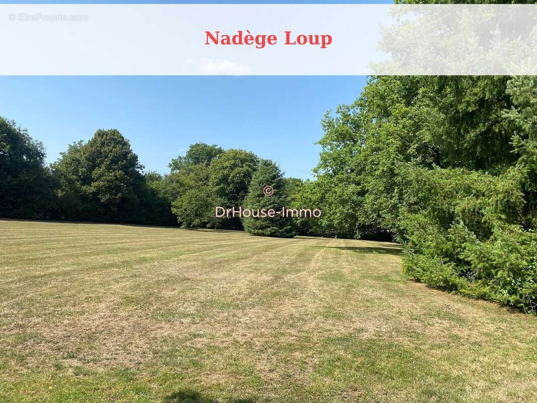 Maison 208 m² à Dracy  - photo 16