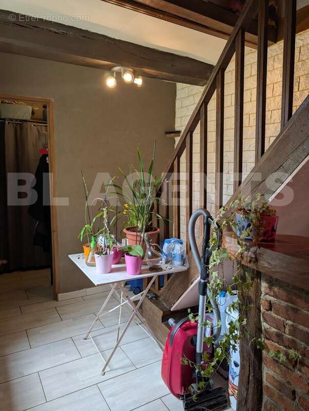 PXL_20250310_124628441 - Maison à SAINT-SAENS