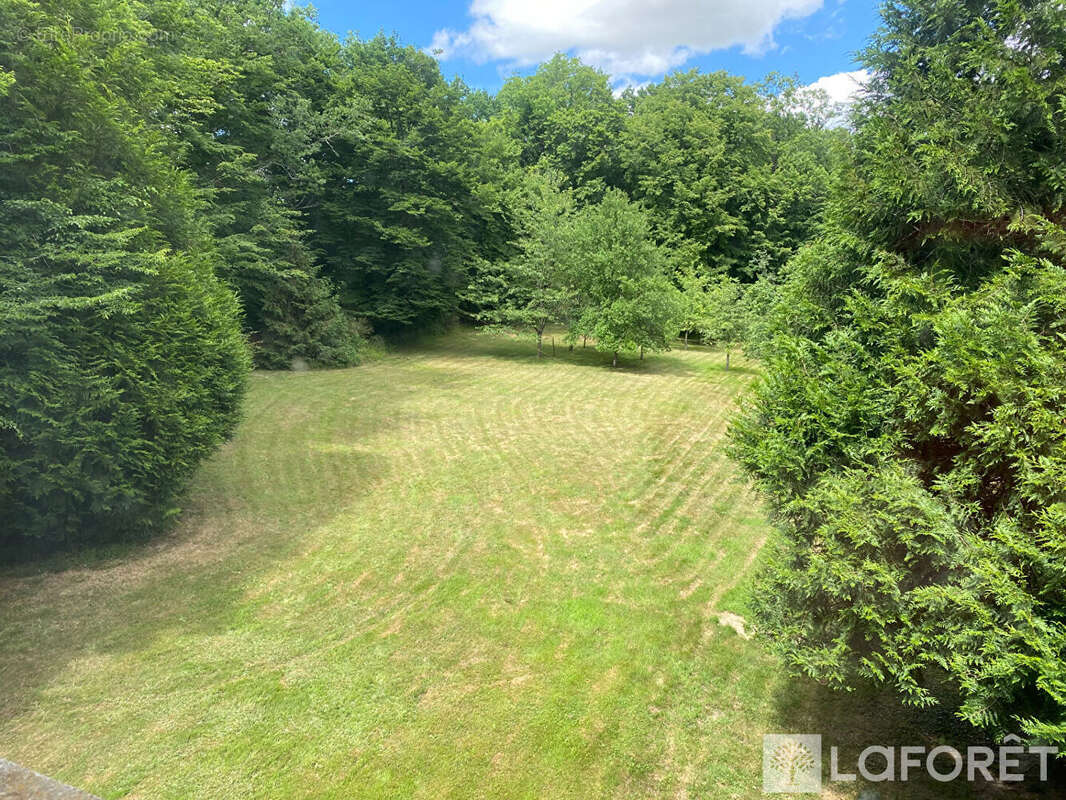 Propriété  sur 8 hect de bois - photo 5