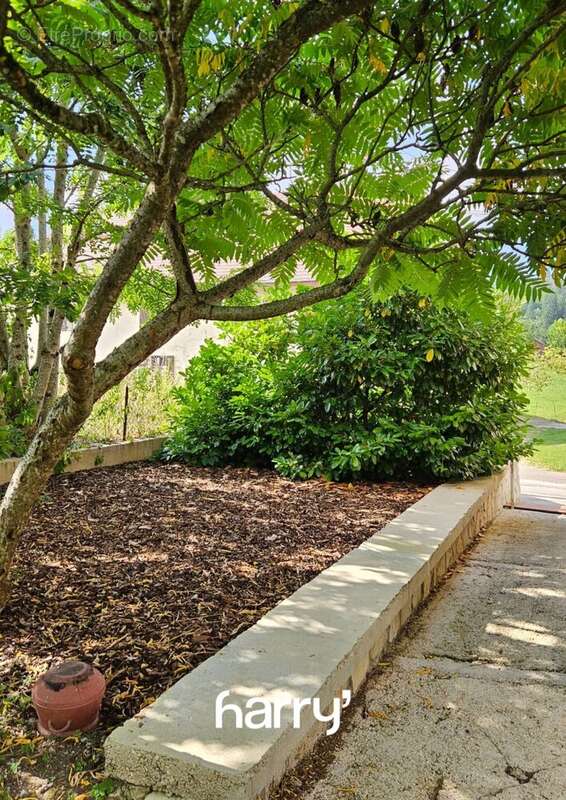 Appartement à OYE-ET-PALLET