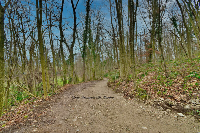 Terrain à PERRIGNIER