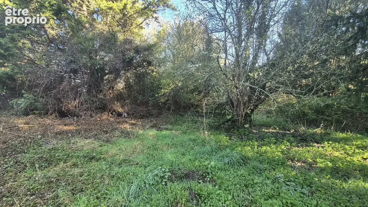 Maison 4 pièces 85 m² à vendre à Bussiere-Poitevine (87320) - photo 5