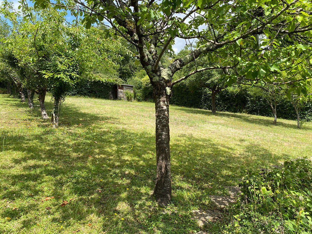 Maison à CHATILLON-SUR-CHER