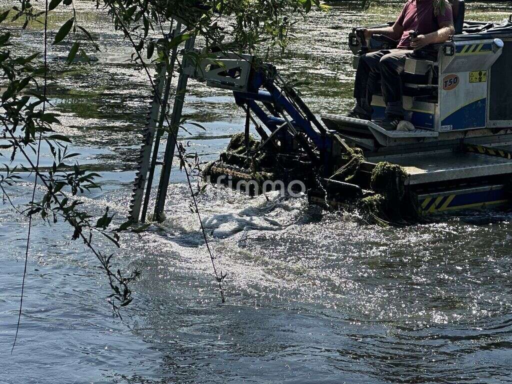 Terrain de loisir avec étang de pêche et roulotte - photo 8