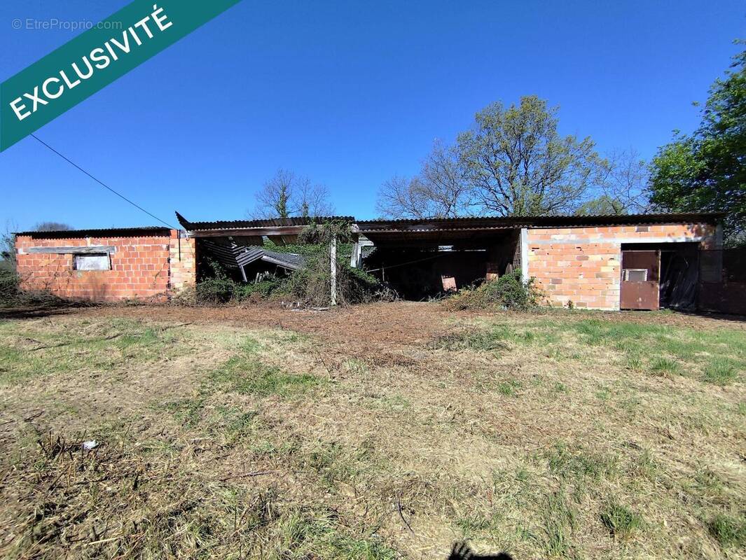 Photo 1 - Terrain à CASTELSARRASIN