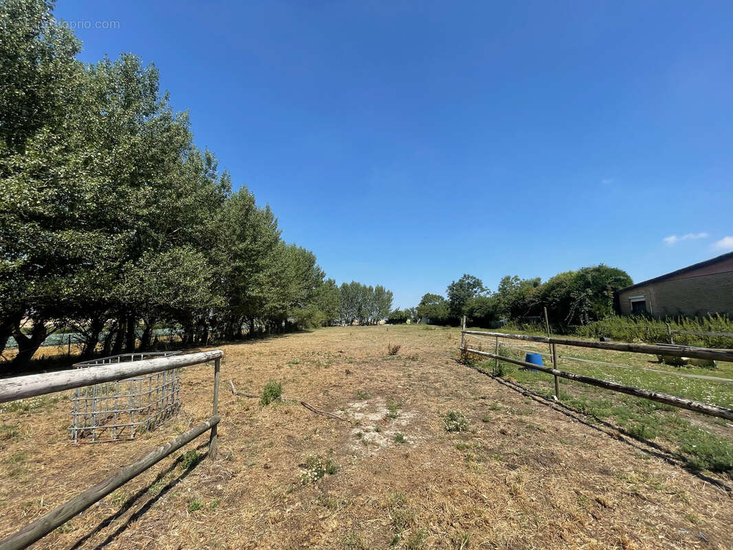 Hangar de stockage 250 m2 - photo 4