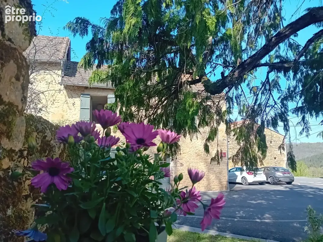 Gîte en pierre rénové avec charme   Périgord Noir - photo 24