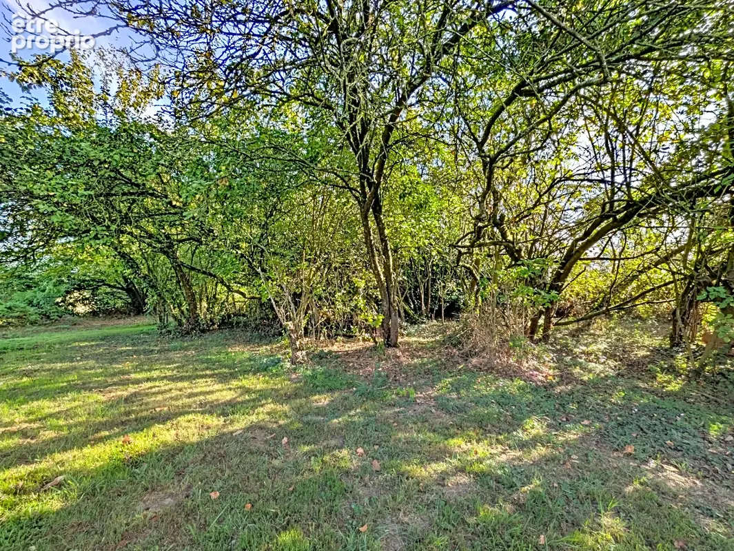 Maison à rénover à Saint-Aubin-d'Aubigné - Grand terrain de 1600 m² - photo 13