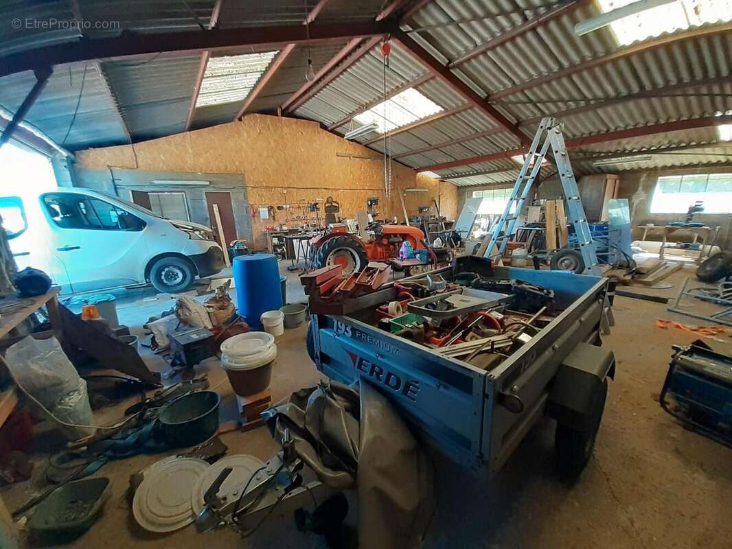   - Appartement à MONTREUIL-BELLAY