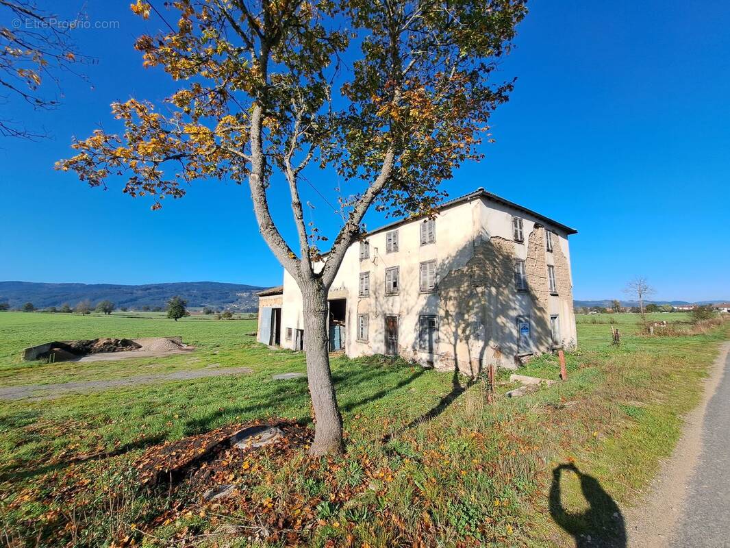 Photo 2 - Maison à AMBERT