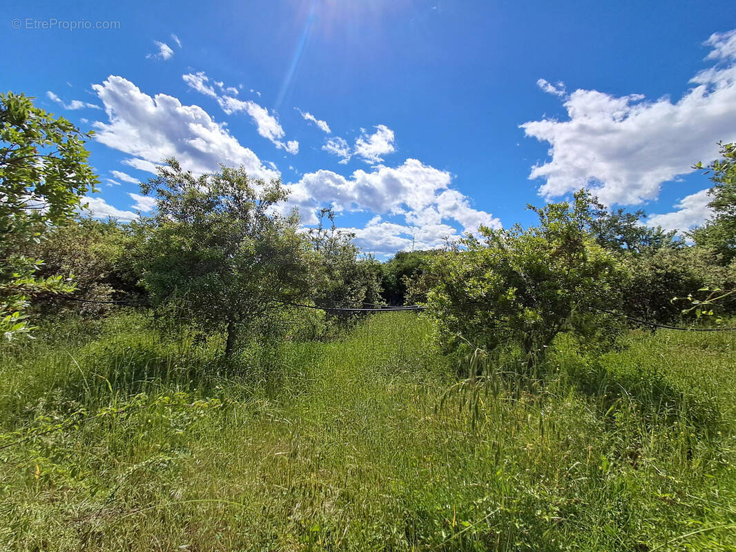 Terrain à MOUSSAC