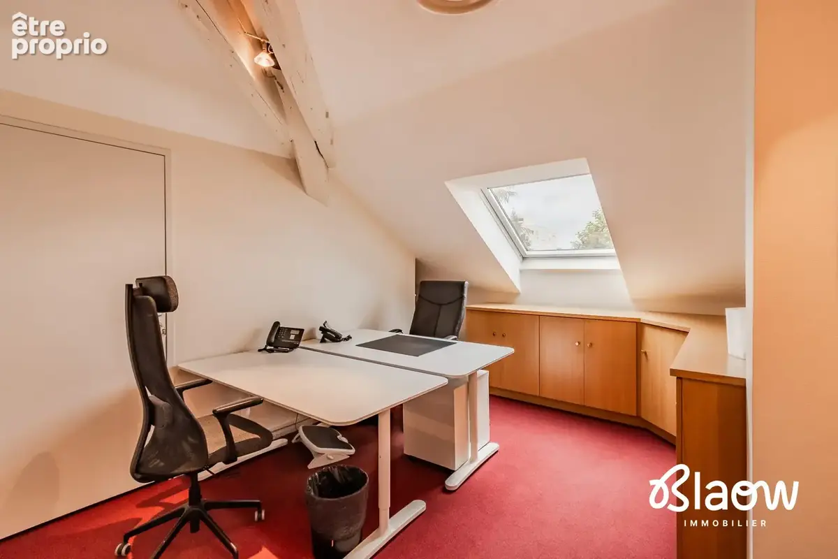 Maison 18 pièces 345 m² à vendre à Saint-Etienne (42000) - photo 6