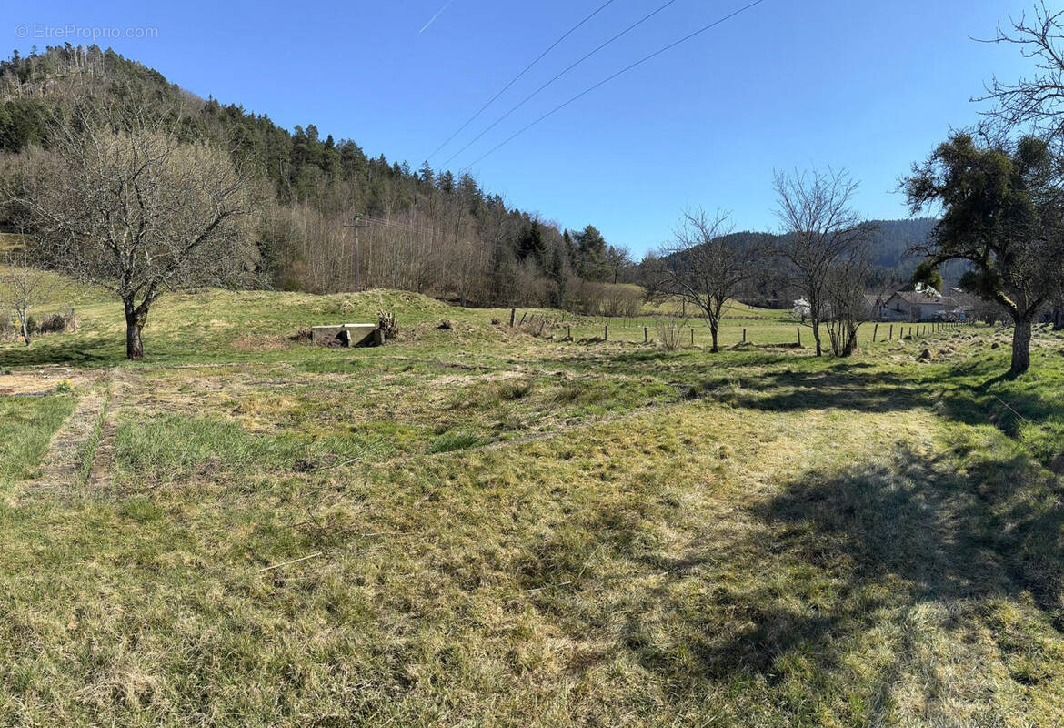 IMG_8584 - Terrain à DOMMARTIN-LES-REMIREMONT