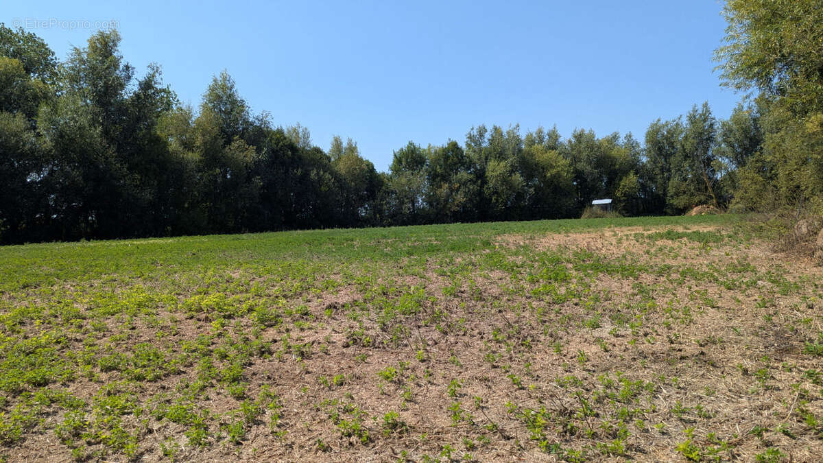 A VENDRE Maison pierres de 274 m²  - Terrain 9795 m²  - CHERRUEIX - photo 18