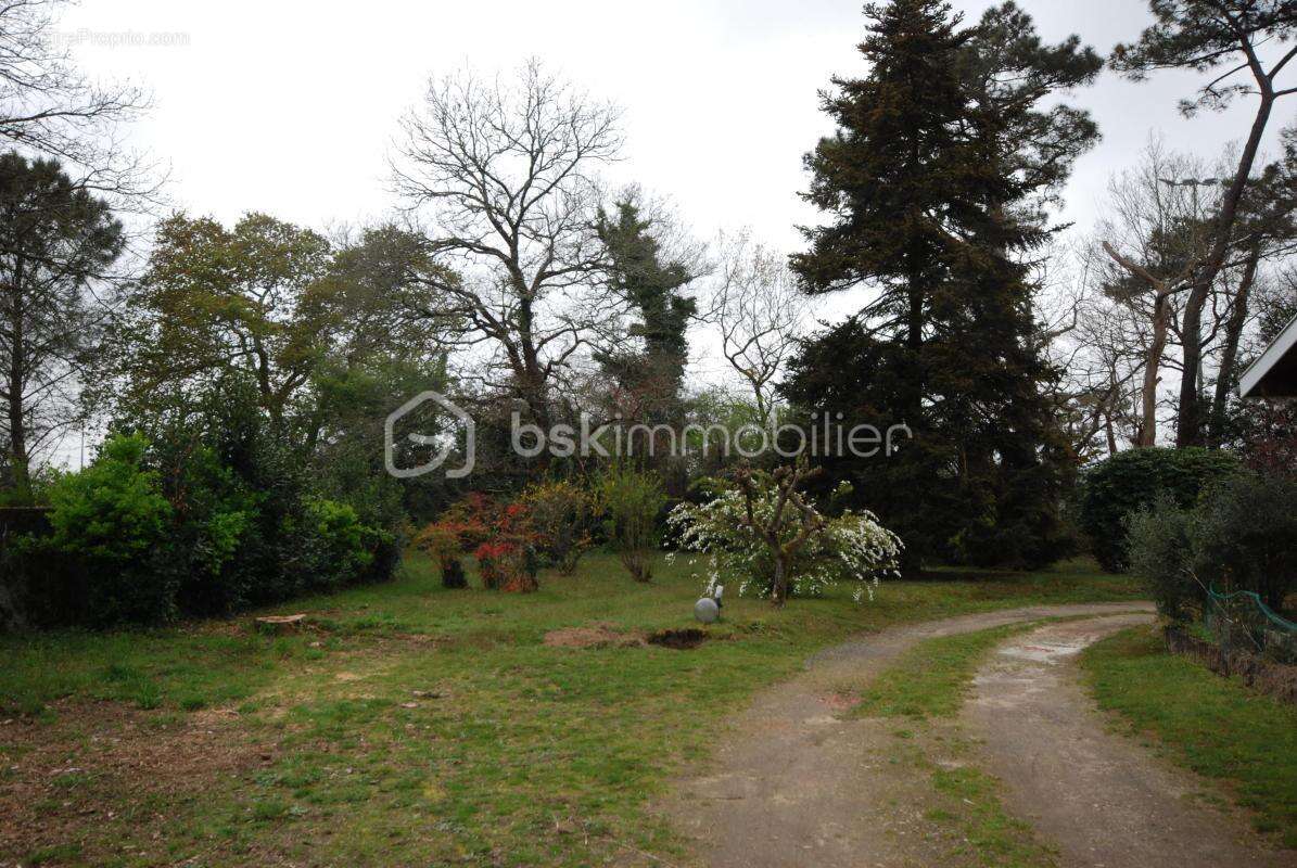 Alerte Investissement Rare : Grand terrain à saisir sur les Pyrénées ! - photo 4