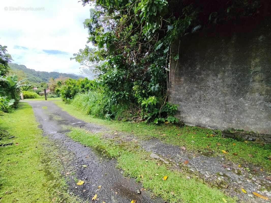 Terrain à LE MORNE-ROUGE