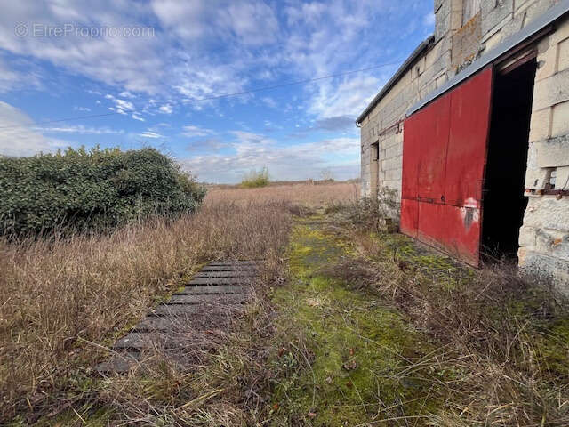 Maison à MONTREUIL-BELLAY