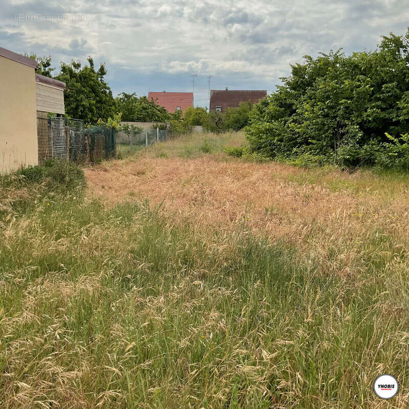 Terrain à LES MUREAUX