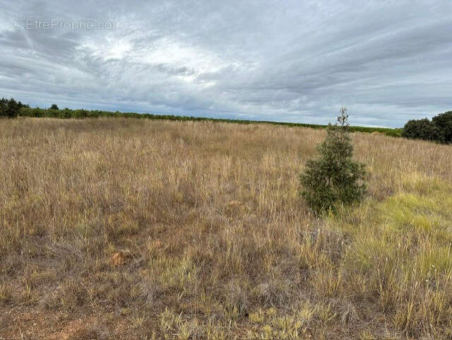 Terrain à VENDEMIAN